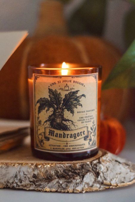Bougie parfumée Mandragore