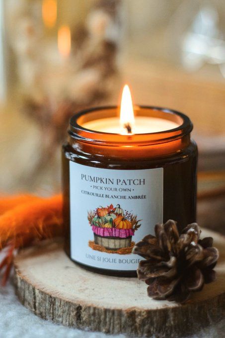 Bougie parfumée " Pumpkin patch" aux notes enivrantes de citrouille blanche ambrée